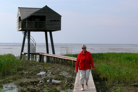 Uitzicht op de Dollard